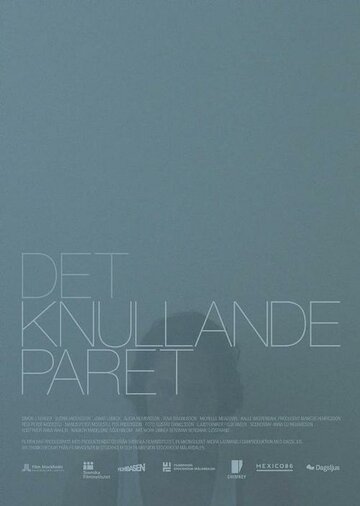 Det knullande paret (2013)